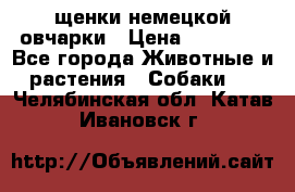 щенки немецкой овчарки › Цена ­ 15 000 - Все города Животные и растения » Собаки   . Челябинская обл.,Катав-Ивановск г.